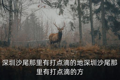 深圳沙尾那里有打點滴的地深圳沙尾那里有打點滴的方