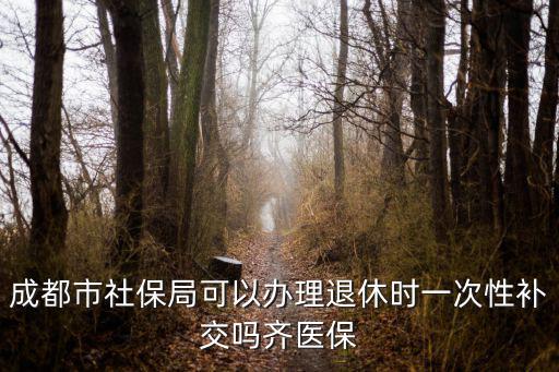 成都市社保局可以辦理退休時一次性補交嗎齊醫保