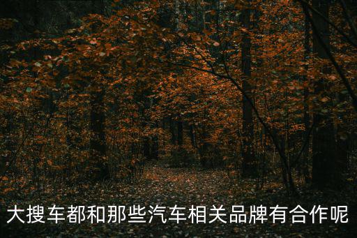 大搜車(chē)都和那些汽車(chē)相關(guān)品牌有合作呢