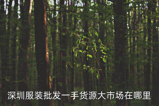深圳服裝批發(fā)一手貨源大市場(chǎng)在哪里