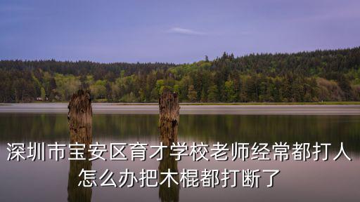 深圳市寶安區育才學校老師經常都打人怎么辦把木棍都打斷了