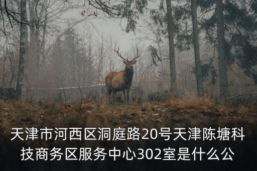 天津市河西區洞庭路20號天津陳塘科技商務區服務中心302室是什么公