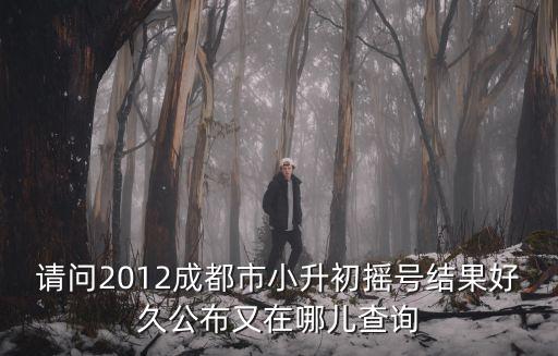 請問2012成都市小升初搖號結(jié)果好久公布又在哪兒查詢