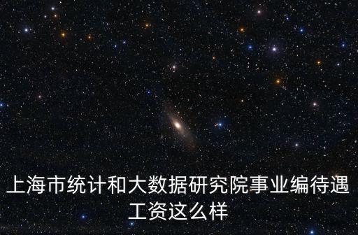 上海市統計和大數據研究院事業編待遇工資這么樣