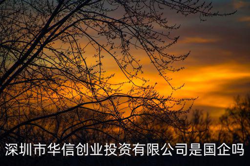 深圳市華信創業投資有限公司是國企嗎