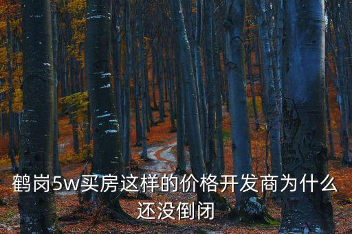 鶴崗5w買房這樣的價格開發商為什么還沒倒閉