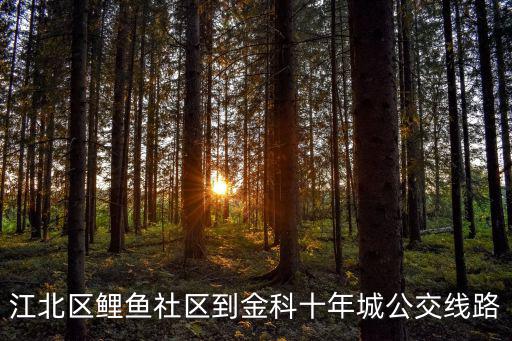 江北區鯉魚社區到金科十年城公交線路