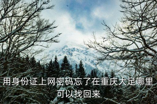 用身份證上網密碼忘了在重慶大足哪里可以找回來