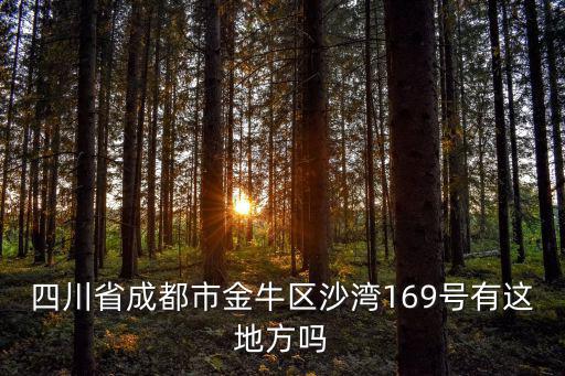 四川省成都市金牛區沙灣169號有這地方嗎