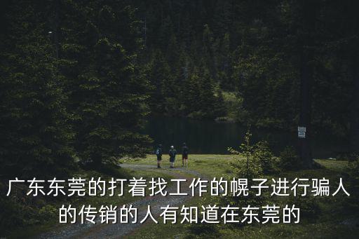 廣東東莞的打著找工作的幌子進(jìn)行騙人的傳銷的人有知道在東莞的