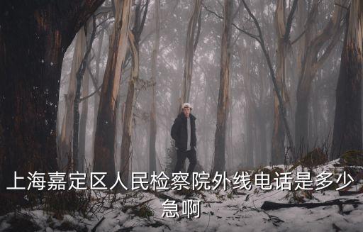 上海嘉定區(qū)人民檢察院外線電話是多少急啊