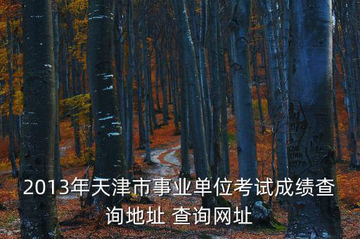 2013年天津市事業單位考試成績查詢地址 查詢網址