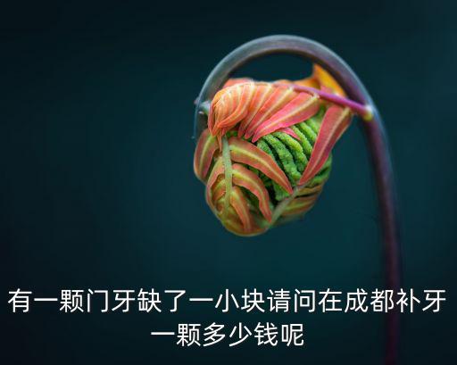 成都市武侯區人民醫院補牙費用，請問成都補牙的費用是多少