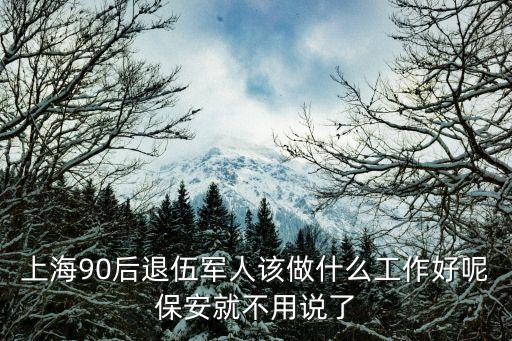 上海90后退伍軍人該做什么工作好呢保安就不用說了