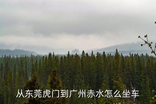 從東莞虎門到廣州赤水怎么坐車