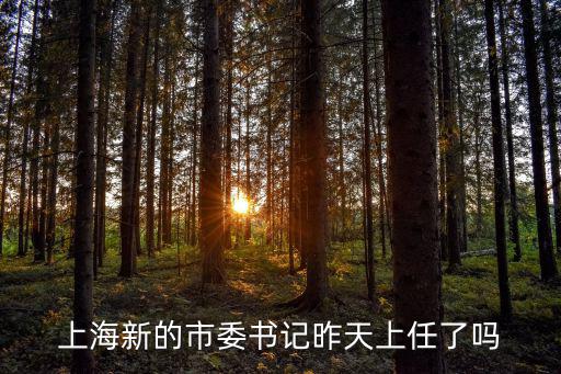 上海市委書記李強講話 進博會，上海市長和市委書記撤了嗎