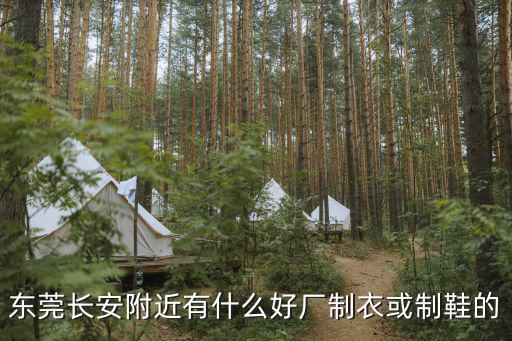 東莞長安附近有什么好廠制衣或制鞋的