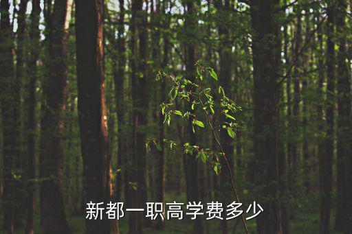新都一職高學費多少