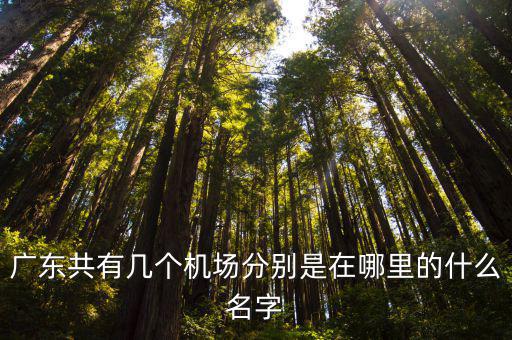 廣東共有幾個機場分別是在哪里的什么名字