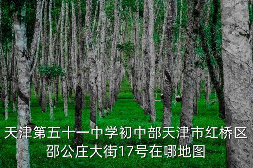 天津第五十一中學初中部天津市紅橋區邵公莊大街17號在哪地圖