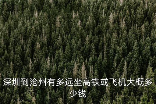 深圳到滄州有多遠坐高鐵或飛機大概多少錢