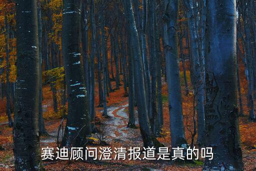 深圳賽迪方略咨詢顧問有限公司，賽迪顧問澄清報(bào)道是真的嗎