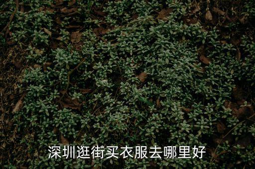 深圳逛街買(mǎi)衣服去哪里好