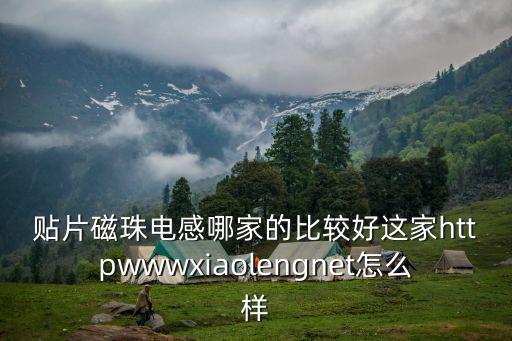 貼片磁珠電感哪家的比較好這家httpwwwxiaolengnet怎么樣