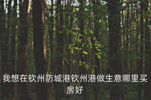 欽州哪個區房價高，欽州房價目前是多少