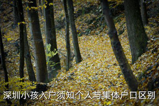 深圳小孩入戶須知個人與集體戶口區別