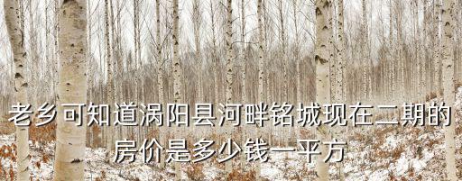 老鄉可知道渦陽縣河畔銘城現在二期的房價是多少錢一平方