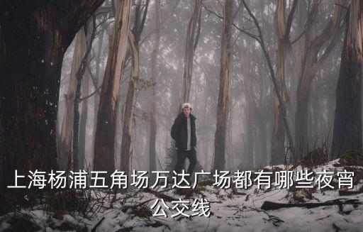 上海楊浦五角場萬達廣場都有哪些夜宵公交線