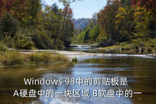天津市九十八中家長會授課，Windows 98中的剪貼板是 A硬盤中的一塊區域 B軟盤中的一