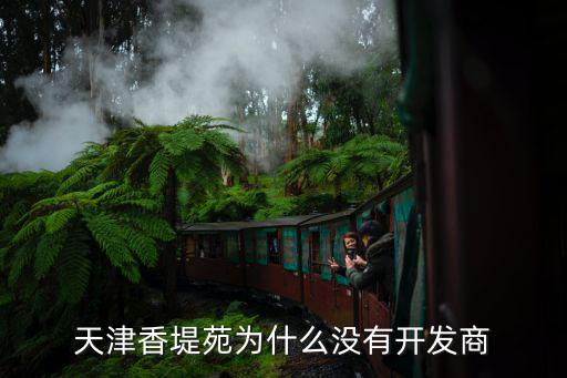 天津香堤苑為什么沒有開發商