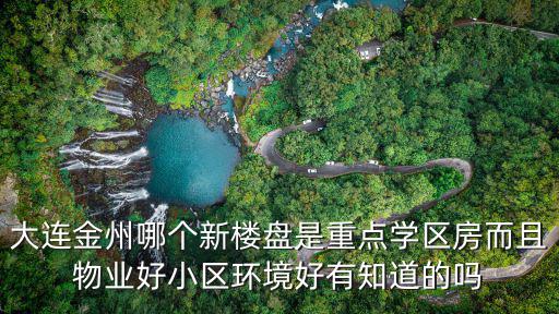 大連金州哪個新樓盤是重點學(xué)區(qū)房而且物業(yè)好小區(qū)環(huán)境好有知道的嗎