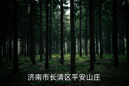 濟(jì)南市長(zhǎng)清區(qū)平安山莊