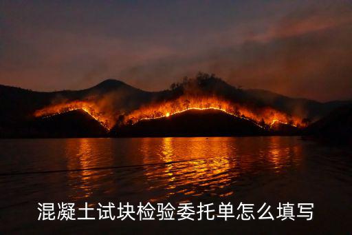 混凝土試塊檢驗委托單怎么填寫