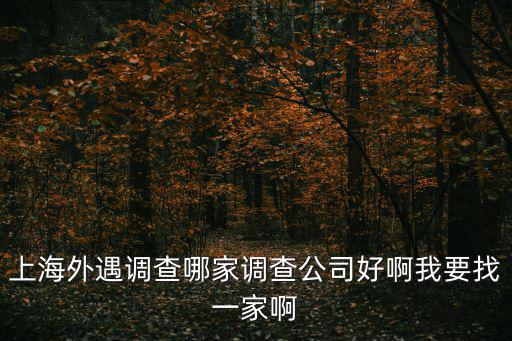 上海外遇調(diào)查哪家調(diào)查公司好啊我要找一家啊