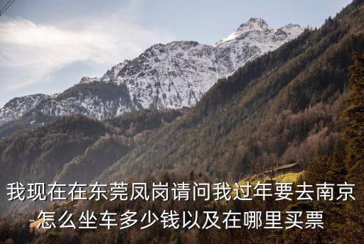 我現在在東莞鳳崗請問我過年要去南京怎么坐車多少錢以及在哪里買票