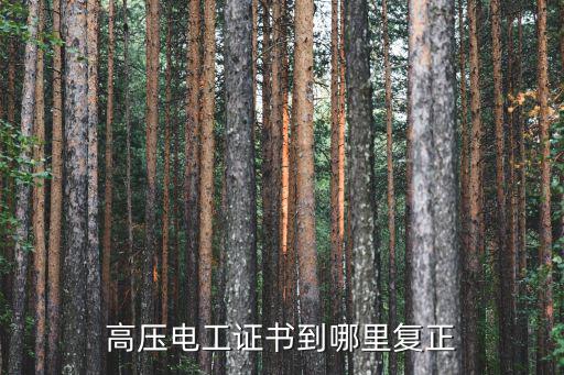 天津市高壓電工證復試地點，高壓電工證書到哪里復正