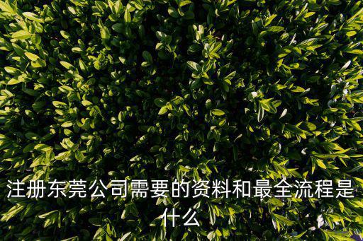 注冊東莞公司需要的資料和最全流程是什么