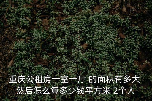 重慶公租房一室一廳 的面積有多大 然后怎么算多少錢平方米 2個人
