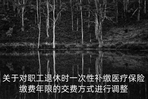 成都市醫保一次性補繳政策，成都市社保局可以辦理退休時一次性補交嗎齊醫保