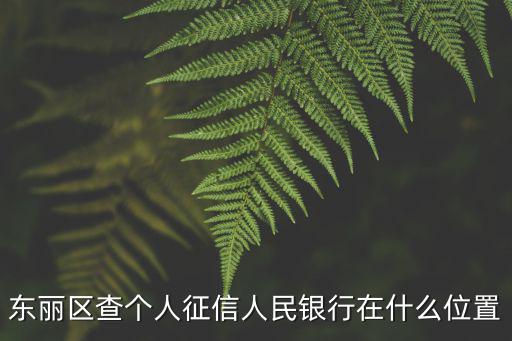 東麗區查個人征信人民銀行在什么位置