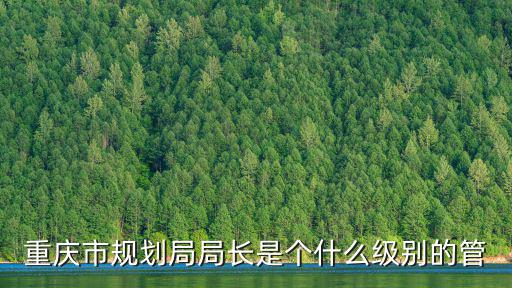 重慶市規劃局局長是個什么級別的管