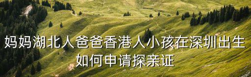 媽媽湖北人爸爸香港人小孩在深圳出生如何申請?zhí)接H證