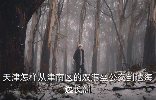天津怎樣從津南區(qū)的雙港坐公交到達(dá)海逸長洲