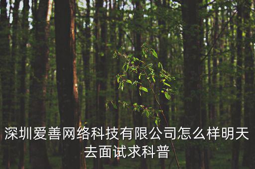 深圳愛善網絡科技有限公司怎么樣明天去面試求科普