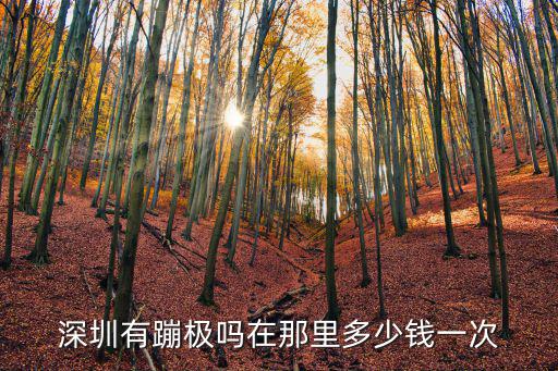 深圳有蹦極嗎在那里多少錢一次