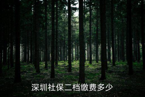 深圳社保二檔繳費多少